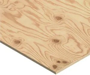 1/2 4X8 CDX Plywood